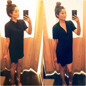 BCBG Max Azria Sheer Tunic (Gracey Dress)